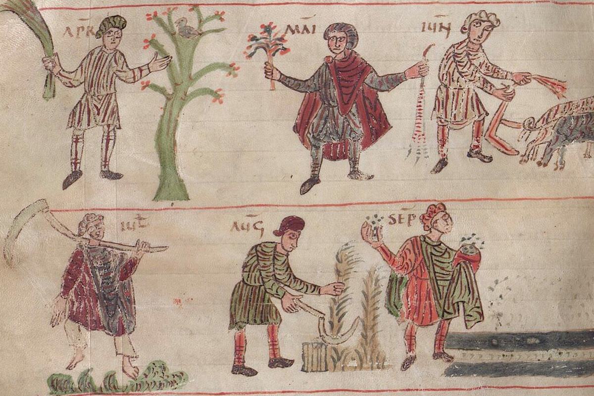 Medieval Farms Were a Boon for Biodiversity, Research Finds