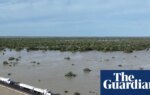 Truck convoy brings cattle feed relief to north-west Queensland after months of flooding – video | Queensland