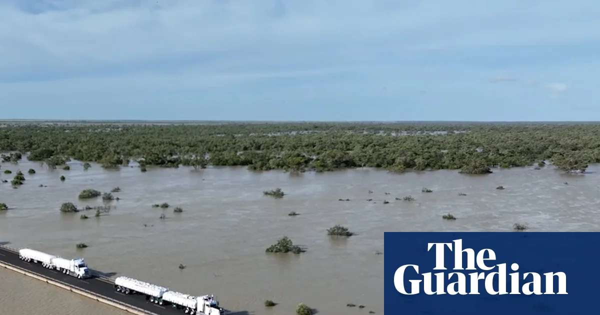 Truck convoy brings cattle feed relief to north-west Queensland after months of flooding – video | Queensland