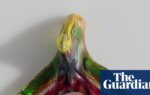 Full network of clitoral nerves mapped out for first time | Sexual health