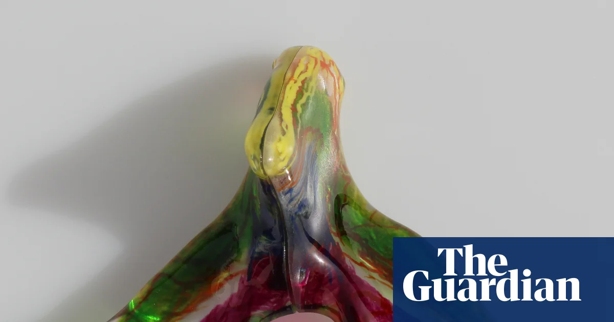 Full network of clitoral nerves mapped out for first time | Sexual health