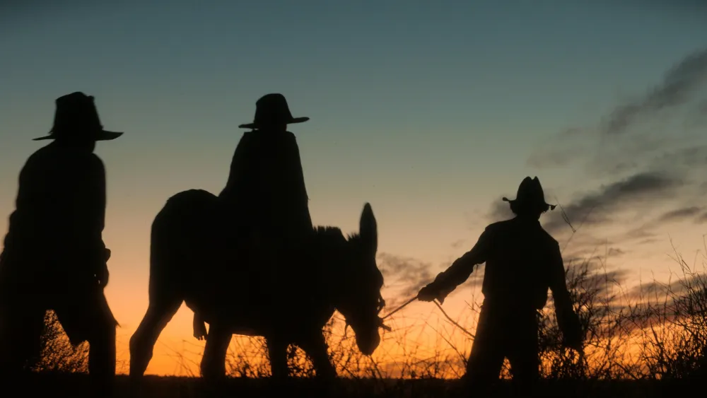 Warwick Thornton's Berlin Competition Title 'Wolfram' Scores Sales