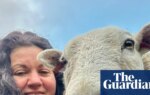 The pet I’ll never forget: Merlin the therapy sheep | Animals