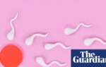 More frequent ejaculations may boost men’s fertility, research suggests | Fertility problems