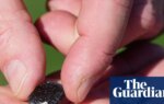 Suspected meteorite crashes into Houston home, officials say | Houston