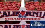 Toxic Pfas residue identified on 37% of California produce, new analysis finds | Pfas
