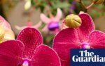 Sex garden to ‘break taboos’ at Chelsea flower show as gnome ban ends | Chelsea flower show