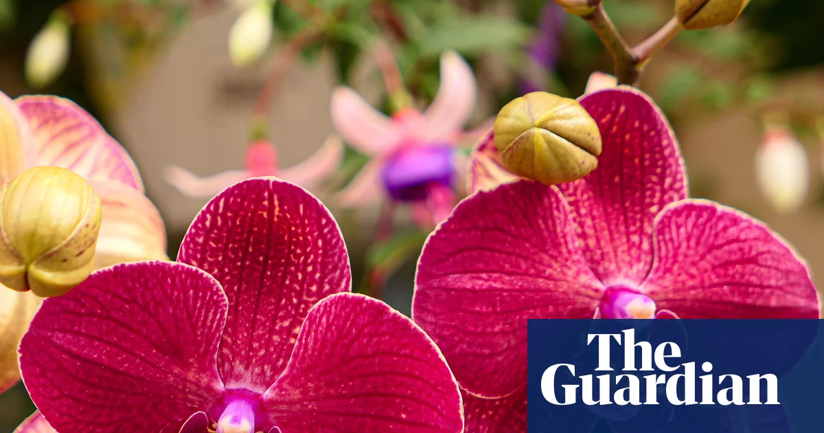 Sex garden to ‘break taboos’ at Chelsea flower show as gnome ban ends | Chelsea flower show