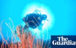 Australia’s environment minister wants to ban fishers and drillers from more ocean – and avoid a culture war | Oceans