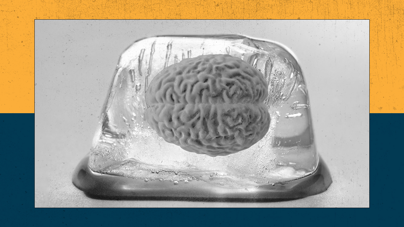 A human brain suspended inside an ice cube.