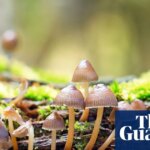 Banknotes should depict flora and fungi, not just animals | Plants