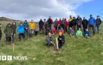 30,000 trees planted to create Isle of Man temperate rainforest