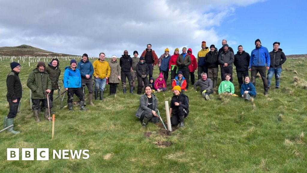 30,000 trees planted to create Isle of Man temperate rainforest