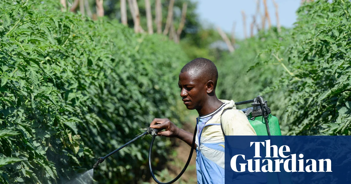 Africa particularly vulnerable as Iran conflict disrupts supply chains, say experts | Africa