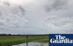 England should give over 7% of land to nature and renewables to meet environmental targets, data shows | Conservation