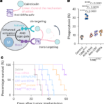 Engineering macrophage-targeted trispecific immune cell engagers for tumor immunotherapy