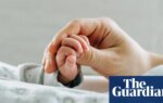 Fetuses likely have more ‘forever chemicals’ in blood than thought – report | Health