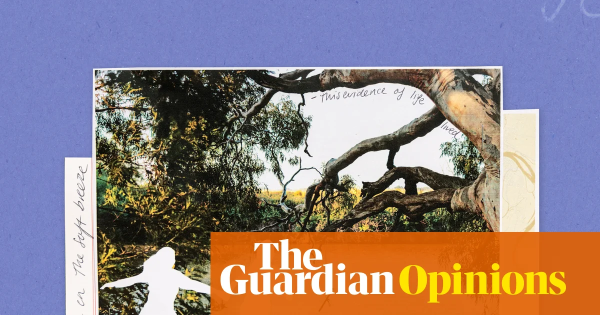 The waterhole: we’ve been coming here for 30 years. Like the creek, we’ve been rearranged – ravaged by time but still shining | Jessie Cole