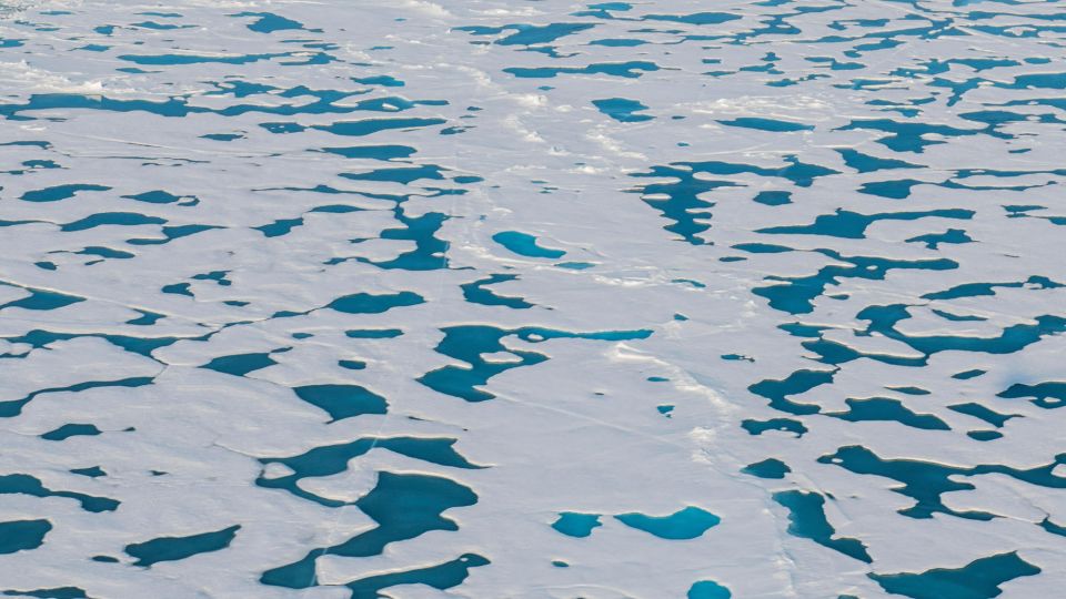 Arctic sea ice just dropped to an alarming new low