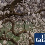 Sarah Lee captures the wonders of spring – in pictures