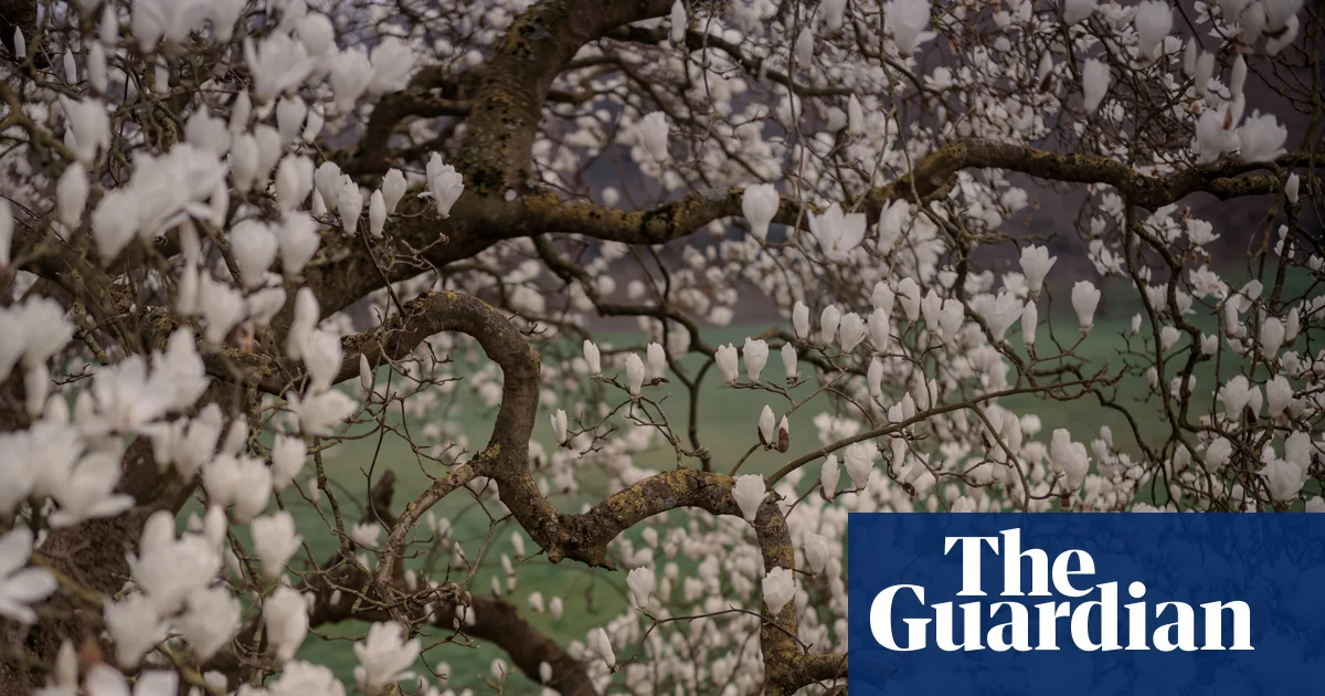 Sarah Lee captures the wonders of spring – in pictures