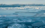 Arctic sea ice hits lowest winter level as heat records are shattered worldwide