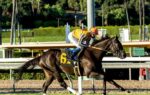 Santa Anita Saturday: Down The Hill We Go