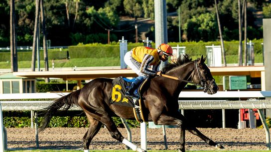 Santa Anita Saturday: Down The Hill We Go
