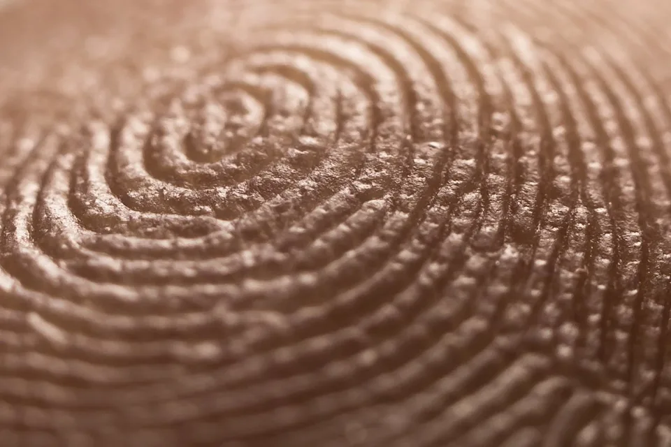 A careful closeup look will show you your fingerprint’s ridges and valleys. <a href="https://www.shutterstock.com/image-photo/finger-close-757162741" rel="nofollow noopener" target="_blank" data-ylk="slk:Fotosr52/Shutterstock.com;elm:context_link;itc:0;sec:content-canvas" data-yga="{"yLinkElement":"context_link","yModuleName":"content-canvas","yLinkText":"Fotosr52/Shutterstock.com"}" class="link ">Fotosr52/Shutterstock.com</a>
