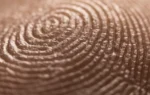 How did I get my own unique set of fingerprints?