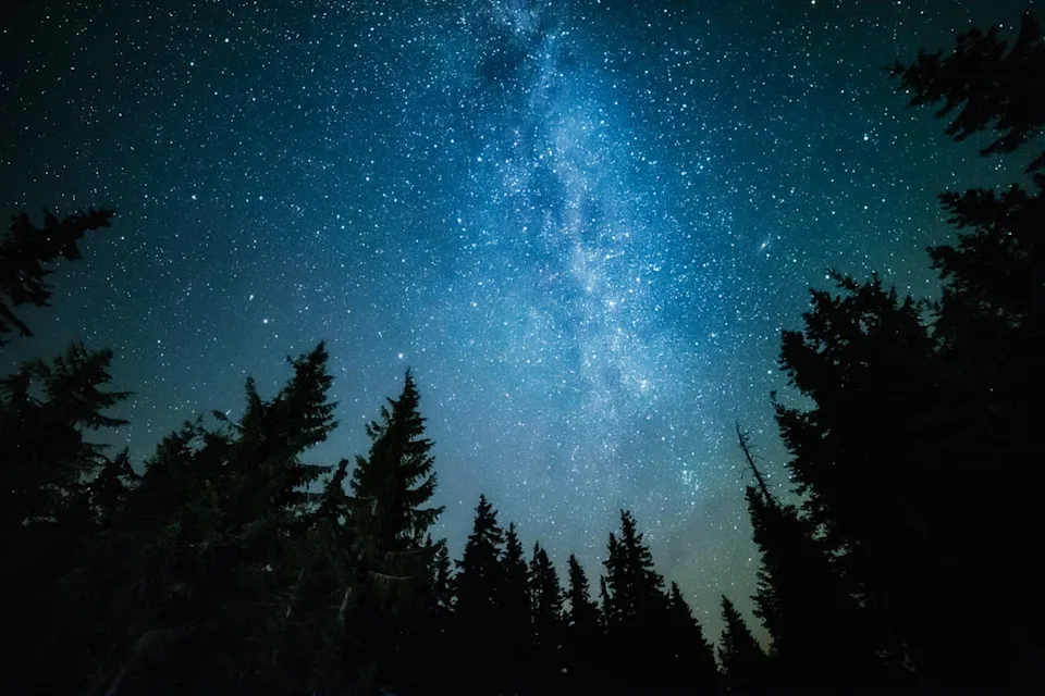 Some of the earliest civilizations recorded the movements of planets, the Sun and Moon. <a href="https://www.shutterstock.com/image-photo/milky-way-rises-over-pine-trees-384983128" rel="nofollow noopener" target="_blank" data-ylk="slk:Andrey Prokhorov/Shutterstock.com;elm:context_link;itc:0;sec:content-canvas" data-yga="{"yLinkElement":"context_link","yModuleName":"content-canvas","yLinkText":"Andrey Prokhorov/Shutterstock.com"}" class="link ">Andrey Prokhorov/Shutterstock.com</a>