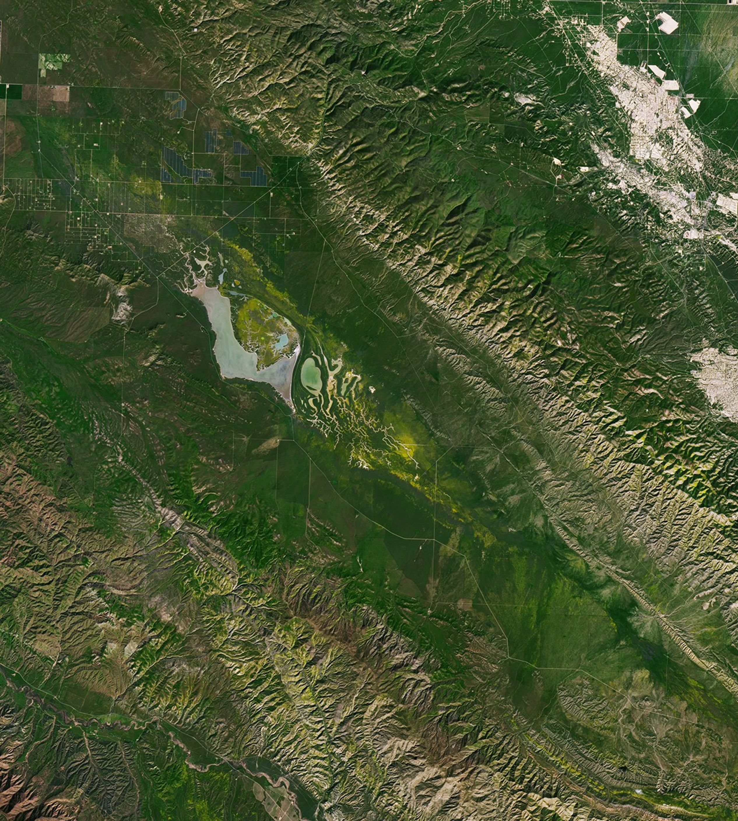 Wildflower blooms appear as yellow patches at the center of satellite images centered on Carrizo Plain National Monument. The blooms spread and intensify between March 5 and March 13.