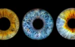 Eye Color: Percentage of the World Population With Each Shade