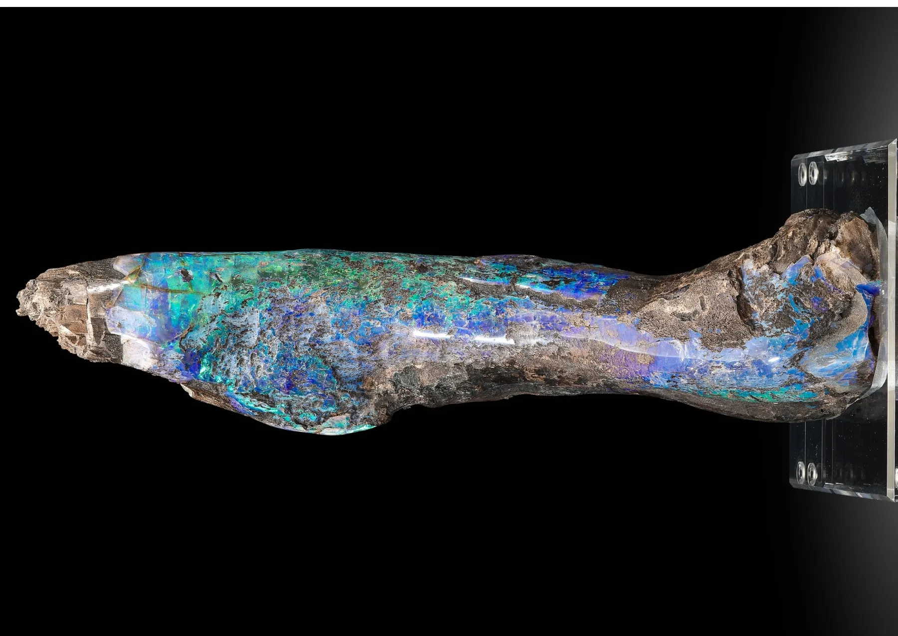 a piece of opalized wood with blue and green spots