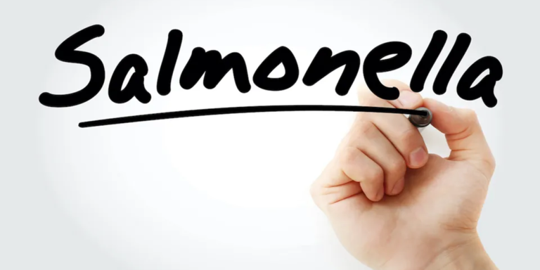 Salmonella sickens 120 in Latvia