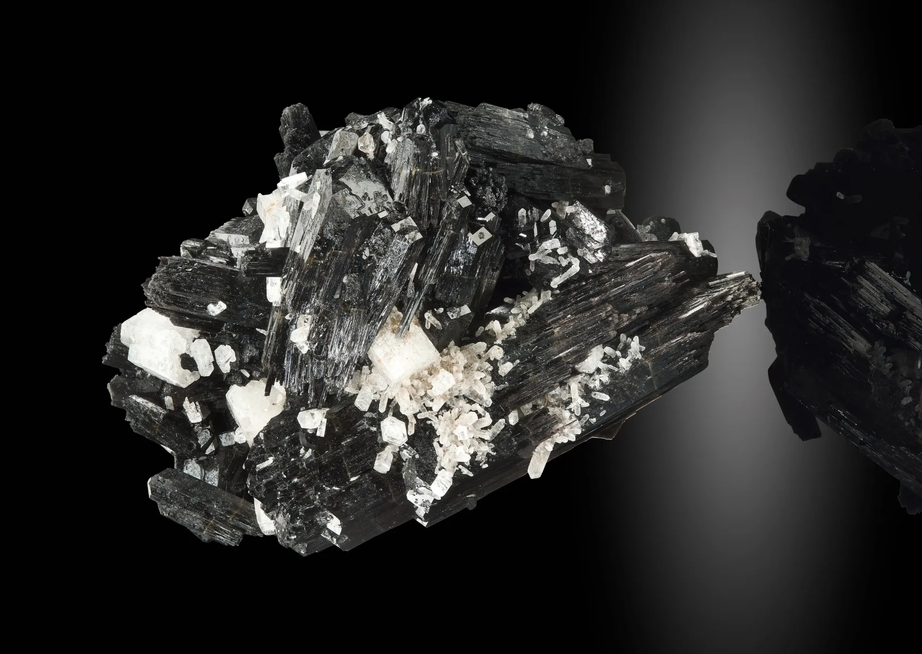 a black mineral flecked with white