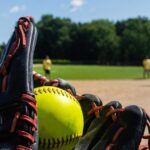 High school baseball and softball: Monday's scores