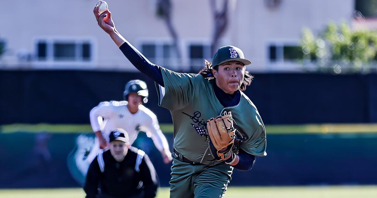 High school baseball: Carlos Acuna of Birmingham throws 1-hit shutout