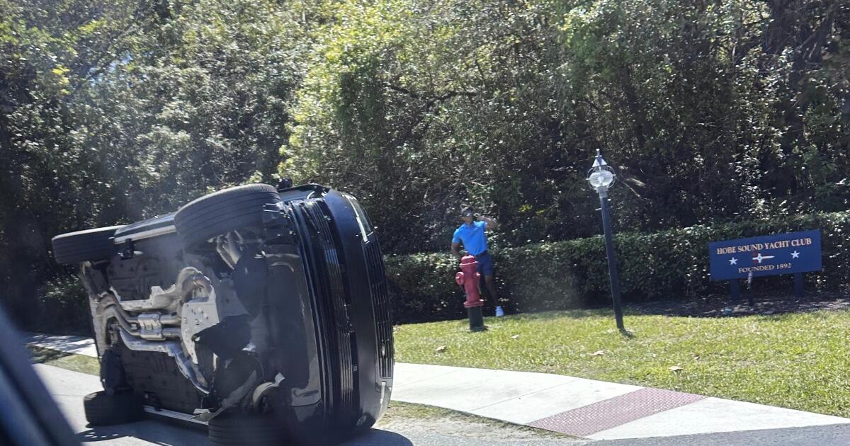 Tiger Woods failed a sobriety test, possessed opioid pills after crash