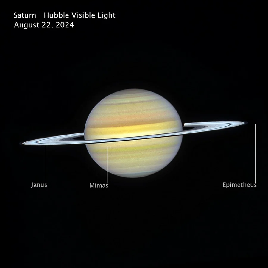 An image of Saturn, showing the planet’s softly banded atmosphere and bright ring system.