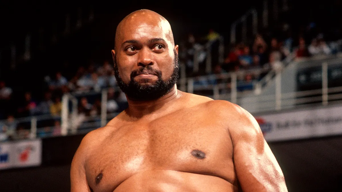 Bad News Brown looks on