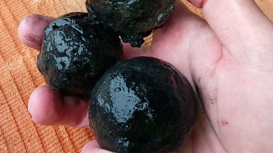 These grapeshots were among the evidence of the battle found by the archaeologists. - The Viking Ship Museum in Roskilde