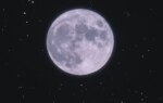 Full Moon in May 2026: Why the Flower Moon Is a Time for Truth