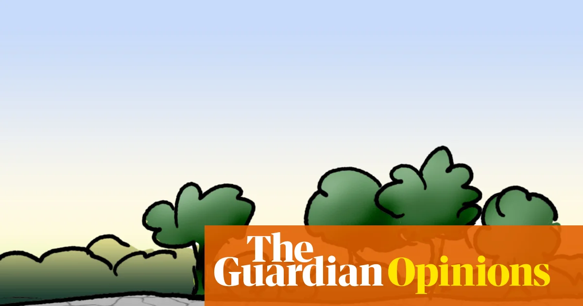 Won’t somebody save these hundreds of turtles condemned to death? | First Dog on the Moon