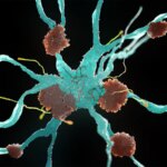 Alzheimer's Risk May Be Influenced by Flu Shots