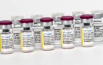 Next-Gen Yellow Fever Vaccine Hits the Mark in Mid-Stage Trial
