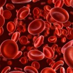 Low Hemoglobin Levels Linked to Higher Dementia Risk