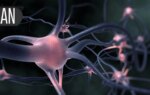 Novel Agent Reduces Seizures in Treatment-Resistant Epilepsy