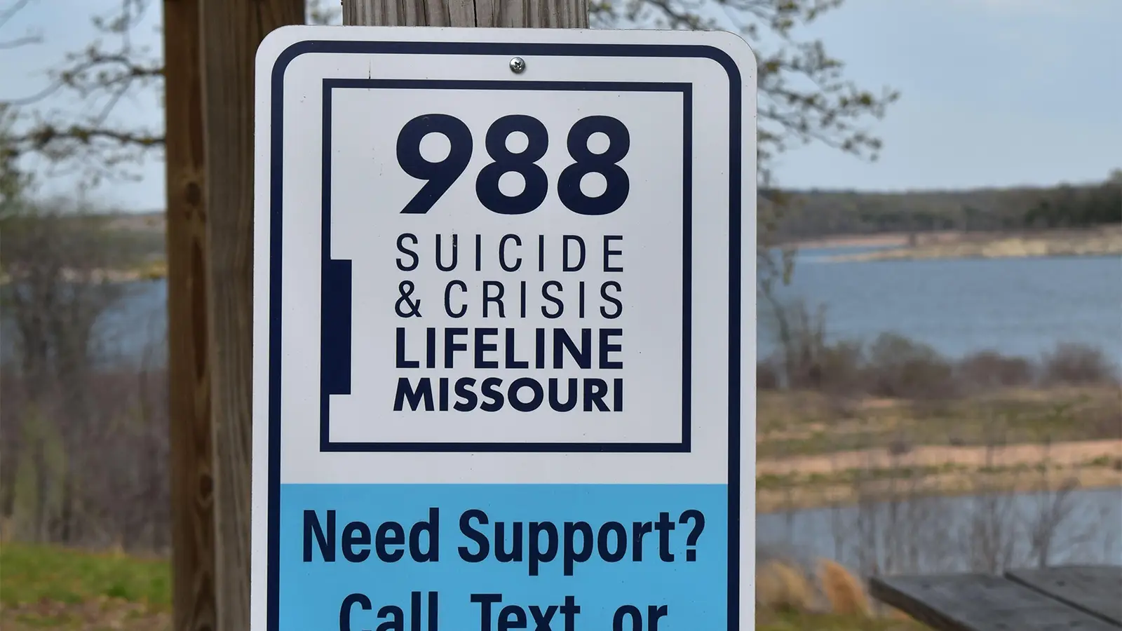 988 Launch Tied to Drop in Youth Suicides
