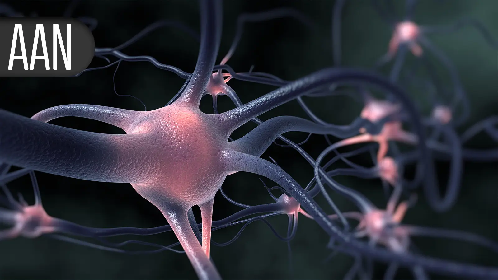 Cell Therapy Slows Upper Limb Decline in Duchenne Muscular Dystrophy